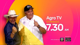 PROGRAMA AGRO TV 1 DIC 2024 ILMAGENS NOVA PIRATININGA