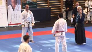 Darrell Power WTKF Worlds '14 Event: Kogo Kumite