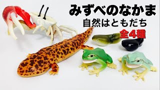 アマガエル最高！【みずべのなかま 自然はともだち】ガチャガチャ開封！Waterside creatures capsule toy