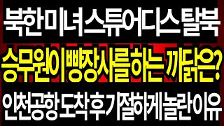 빵장사까지  해야만 했던  북한미녀 스튜어디스,  북한 고려항공 미녀승무원이  북한을 탈북 할 수 밖에 없는 가슴 아픈 이유?