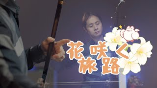 花咲く旅路/二胡/田宇