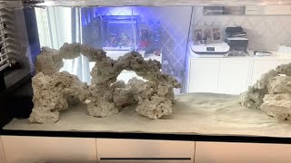 Waterbox peninsula 7225 860L reef aquarium build ep5. First fish