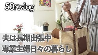 【50代Vlog】夏休み限定50代母と大学生息子の二人暮らし/夕飯は回転寿司/早朝の庭仕事/月命日お墓参り/たっぷりお野菜50代の朝ごはん/愛犬はトイプードル【夫は長期出張中】【専業主婦日々の暮らし】