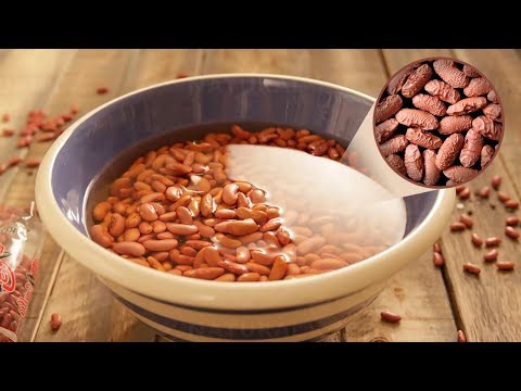 How long can you soak beans in water?