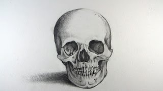 How to Draw a Realistic Skull: Narrated Step by Step