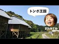 いってみて！よってみて！しまんと放浪記【トンボ王国 編】