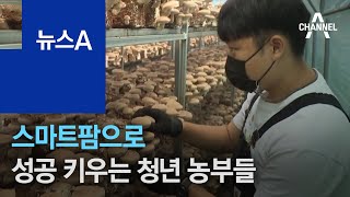 농촌은 창업의 장…스마트팜으로 성공 키우는 청년 농부들 | 뉴스A