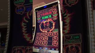 Phoenix Link Feature on a $10 bet! #slot #hardrockcasino #jackpot