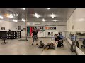 Zara and Gerda WL GSD aggression rehab