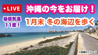 【沖縄オンライン観光】1月末 冬の海辺を歩く旅「沖縄旅行情報」