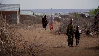 食料危機から難民を守る：現地UNHCR職員からのメッセージ