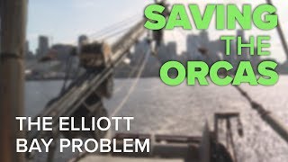 Saving the Orcas: The Elliott Bay Problem