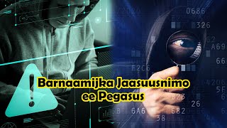 Muxuu yahay barnaamijka jaasuusnimo ee ugu halista badan aduunka | Pegasus