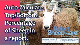 Auto Calculate a Top or Bottom Percentage of Sheep in a report