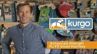 Kurgo Enhanced Strength Dog Car Harness