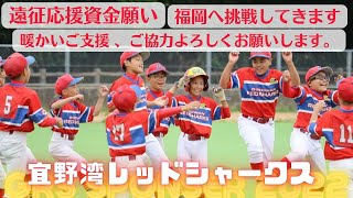 選手より皆様へご支援ご協力のお願い　宜野湾レッドシャークス