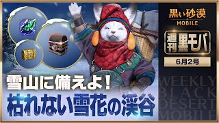 新地域での冒険が、ついに始まる！【黒い砂漠モバイル】【週刊黒モバ】