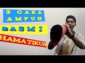 HAMA PADI | CARA MENGATASI TIKUS SAWAH