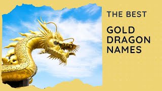 25 Best Gold Dragon Names (Female, Male, Unisex, Funny)