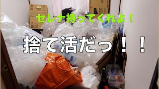 オラに元気をわけてくれ！「捨て活」納車まであと１週間。