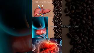 காபி குடித்தால் liver-க்கு நல்லதா??#coffee #healthbenifits