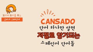 [꼬꼬무🇪🇸] Cansado 단어 하나만 알면 저절로 암기되는 스페인어 단어들