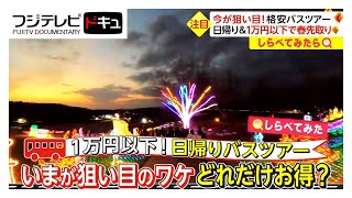 今が“狙い目”格安バスツアー！1万円以下で“春先取り”【しらべてみたら】