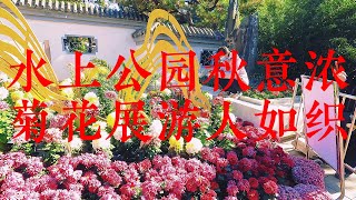 天津水上公园菊花展游人如织  Chrysanthemum exhibition in Tianjin Water Park is crowded with tourists