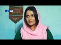 zahar zindagi ep 177 sindh tv soap serial sindhtvhd drama