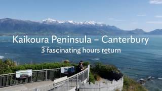 Walk Canterbury - Kaikoura Peninsula 30 second