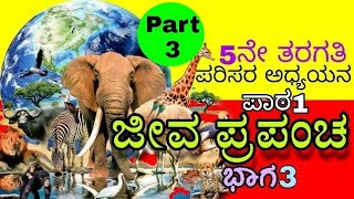 ಜೀವ ಪ್ರಪಂಚ | ಪರಿಸರ ಅಧ್ಯಯನ  | ಐದನೇ ತರಗತಿ |ಪಾಠ 1| Jeeva Prapancha| 5th Class EVS Lesson Part 3