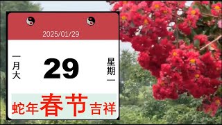 每日运势01/29/2025#蛇象征着智慧、神秘和蜕变；乙巳蛇年是一个重生的年份，将摆脱旧有的生活方式，带着从过往经验中学习和吸收的认知，上升至高维；当值星宿，生肖属相，男女阴阳，今日五行/投资时机