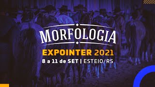 Morfologia Expointer - Julgamento Morfológico dos Campeonatos (11/09/2021)