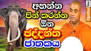 ඡද්දන්ත ජාතකය අහන්න පින් තියෙන්න ඕන | Koralayagama Saranathissa thero Bana | jathaka katha