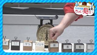 科学実験ちょい見せ「科学のてんびん」②重さ比べの実験