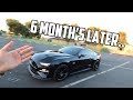 Everything I have done to my 2019 Mustang GT over the past 6 months!