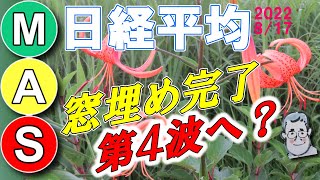 まもなく日経平均は小さな下落へ 2022/8/17【予想 今後 株式投資 nikkei225】