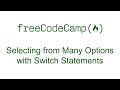 Selecting from Many Options with Switch Statements