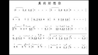 真的好想你 G调伴奏 - Really miss you - instrumental in G