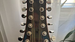 The 12 String #12stringguitar