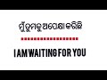 ପ୍ରତିଦିନ ବ୍ୟବହାର ହେଉଥିବା english sentence।। ଓଡ଼ିଆ english translation।। ncro