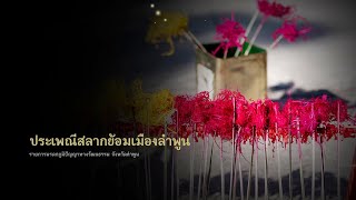 ประเพณีแห่สลากย้อม มรดกภูมิปัญญาทางวัฒนธรรม