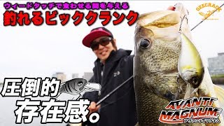 【バス釣り】釣れるビッククランク「アヴァンティマグナムDR」琵琶湖：ヤマピーガイド