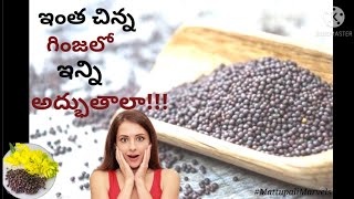 Health Benefits of Mustard seeds(Aavalu) in Telugu