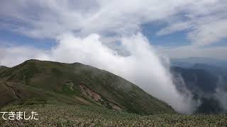 花の100名山平標山＆谷川連峰最高峰仙ノ倉山