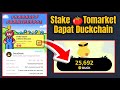 Stake Tomarket (TOMA) Dapat Duckchain||Wajib Join Duckchain Airdrop Potensi Jackpot