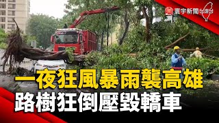 一夜狂風暴雨襲高雄！路樹狂倒壓毀轎車「玻璃全碎.車門變形」｜#寰宇新聞 @globalnewstw