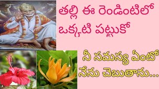 సాయివాక్కు- ఈ రెండింటిలో ఒకటి పట్టుకో తల్లి నీ సమస్య ఏంటో నేను చెబుతాను//babaadvice@saimaatalu