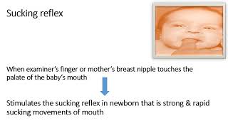 Neonatal Reflex | Sucking and Rooting Reflexes | Pediatrics