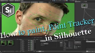 Silhouette VFX Paint:  How to remove tracking marker using point tracker  class 07